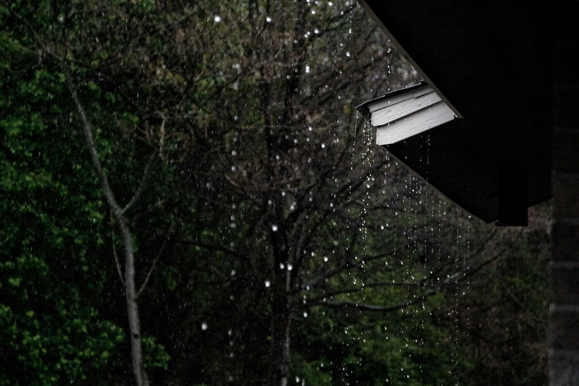 Vancouver Rain or Battle Ground Snow? Tailoring Your Roof Protection to Clark County’s Winter